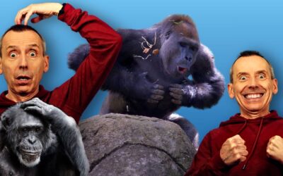Evolution and Conscious Universe